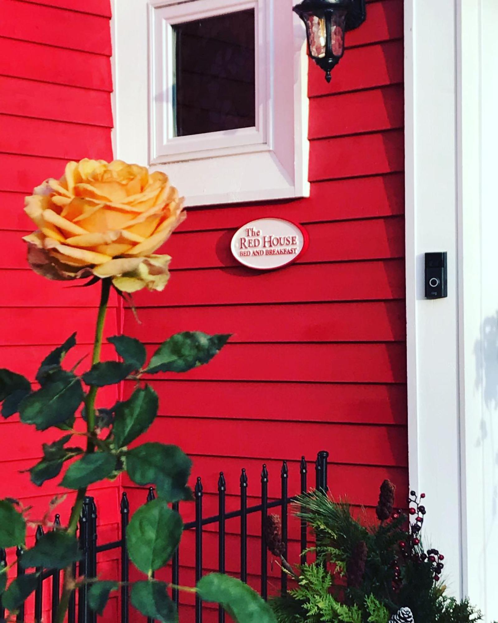 The Red House Fredericton Bed & Breakfast Екстериор снимка